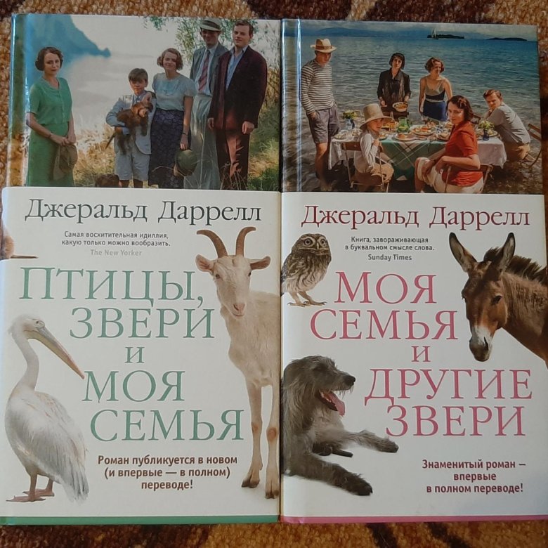 Даррелл Джеральд Одежда Магазины В Москве