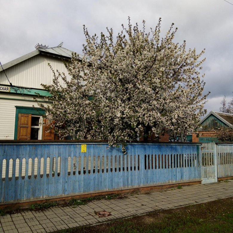 Купить Дом В Станице Каневской Фото