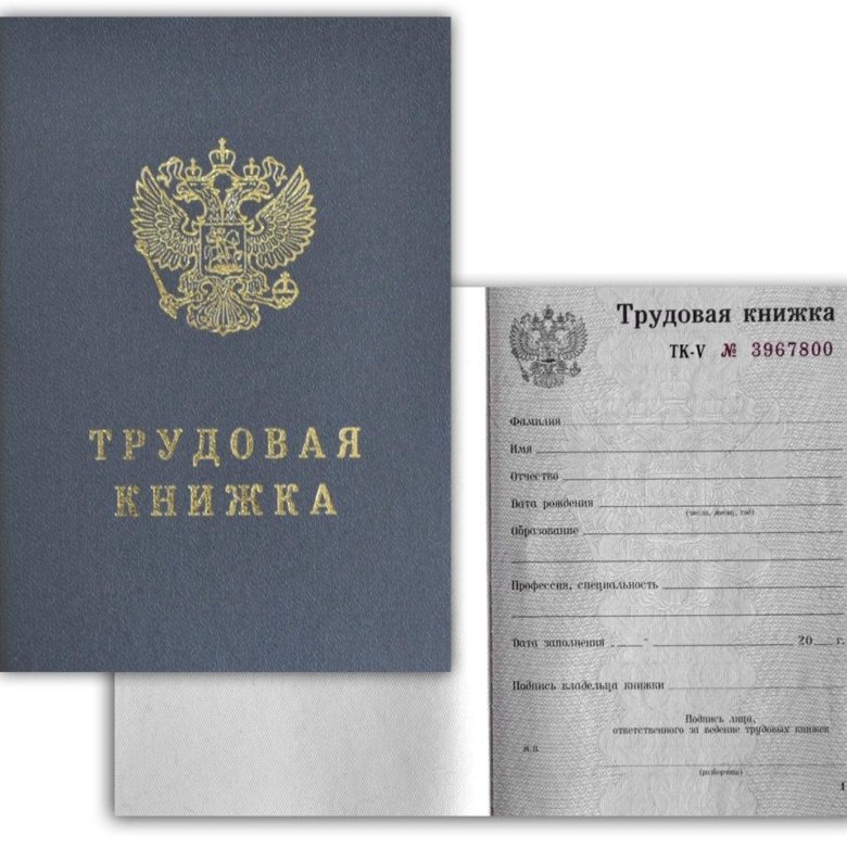 Как выглядит номер трудовой