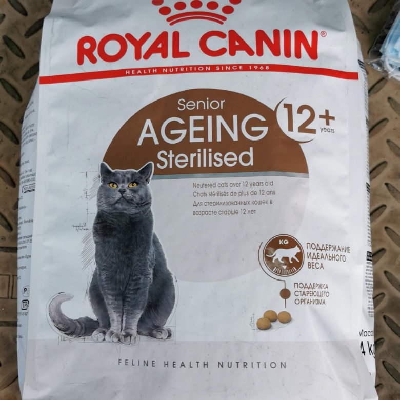 Royal canin sterilised ageing 12 стерилизованных. Royal Canin ageing Sterilised 12+. Royal Canin Sterilised 12+. Роял Канин Стерилайзд 12+ 4кг. Кошка Royal Canin Sterilised 12+.