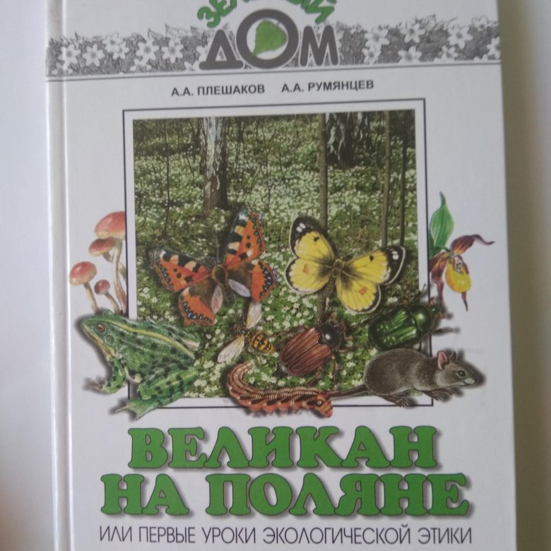 Плешаков великан на Поляне. Великан на Поляне пожар. Плешаков великан на Поляне фото. «Берегите раков» из книги а.а. Плешакова "великан на Поляне".