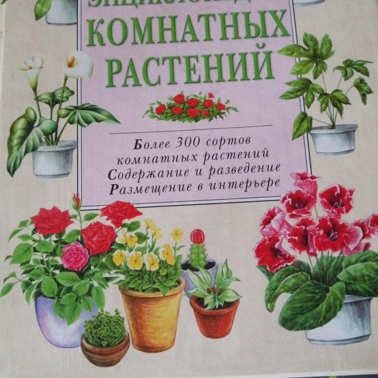 Книга о комнатных растениях, энциклопедия – купить в Москве, бесплатно ...