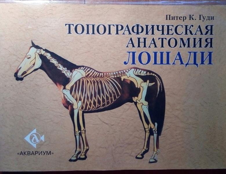 Купить гужу. Топографическая анатомия лошади - Питер Гуди. Анатомия лошади Зеленевский. Топографическая анатомия лошади. Книга по анатомии лошади.