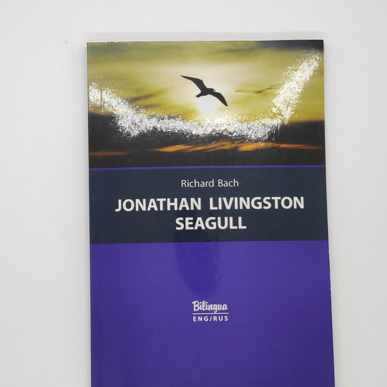 Книга баха чайка по имени джонатан ливингстон. Richard Bach Jonathan Livingston Seagull. Бах Чайка по имени Джонатан Ливингстон. Чайка по имени Джонатан Ливингстон книга.