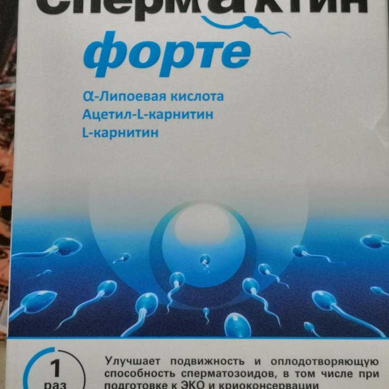 Спермактин форте аналоги. Спермактин форте порошок. Спермактин форте саше. Спермактин форте по 1 саше пакет. Спермактин 5 гр.