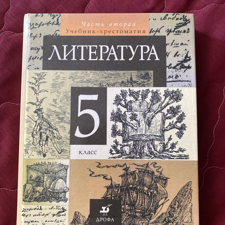 Учебники по литературе 5 9 класс. Литература 6 класс Курдюмова.