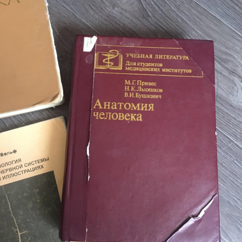 М г привес анатомия человека. Привес Бушкович анатомия человека. Анатомия человека 1974 привес. Привес анатомия человека 1985.