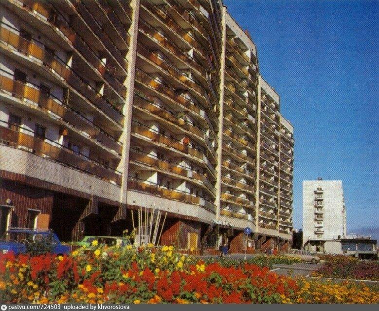 Муравейник тюмень фото
