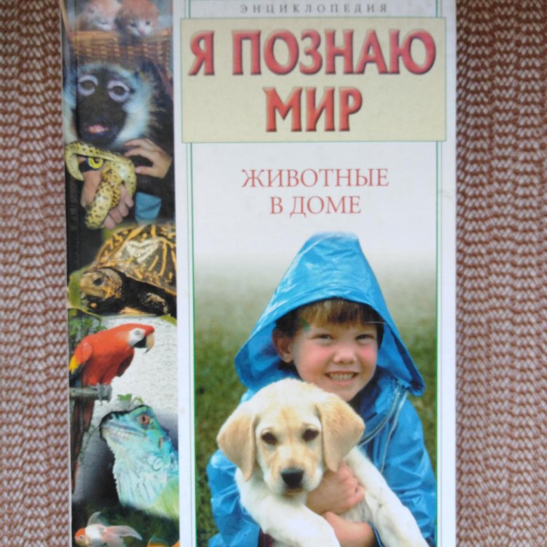 я познаю мир животные. энциклопедия про животных я познаю мир. я познаю мир загадочные животные. энциклопедия я познаю мир животные. я познаю мир.