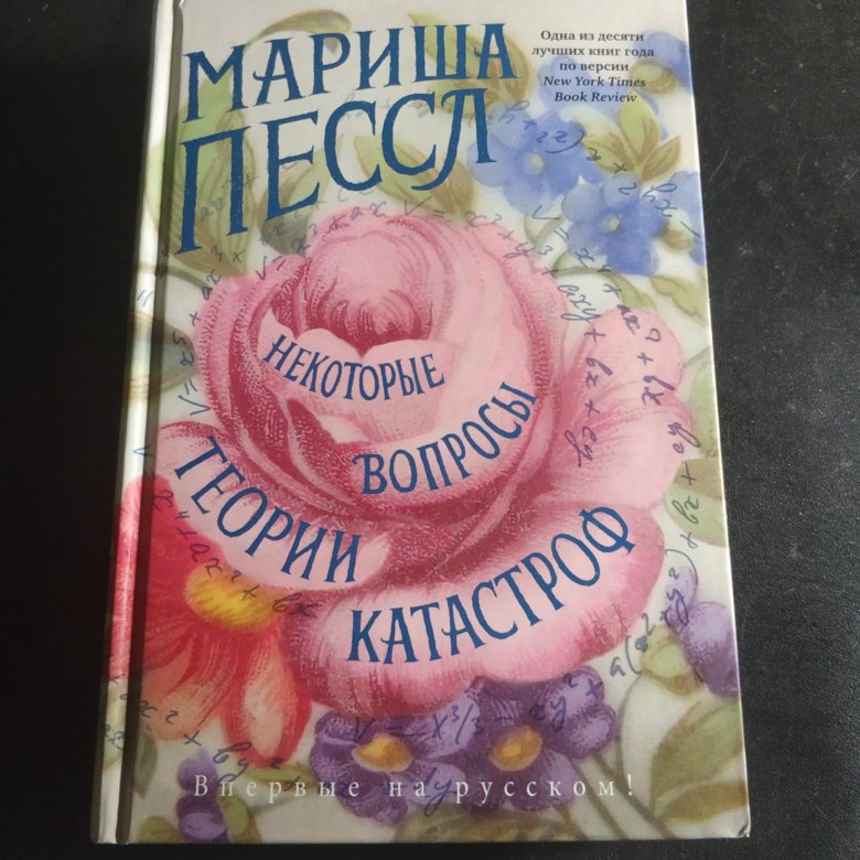 Некоторые вопросы теории катастроф