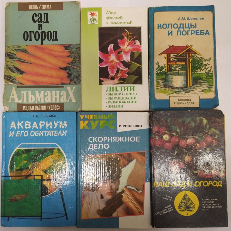 Купить Книги В Новосибирске Дешево