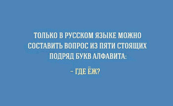 Проект этот удивительный русский язык