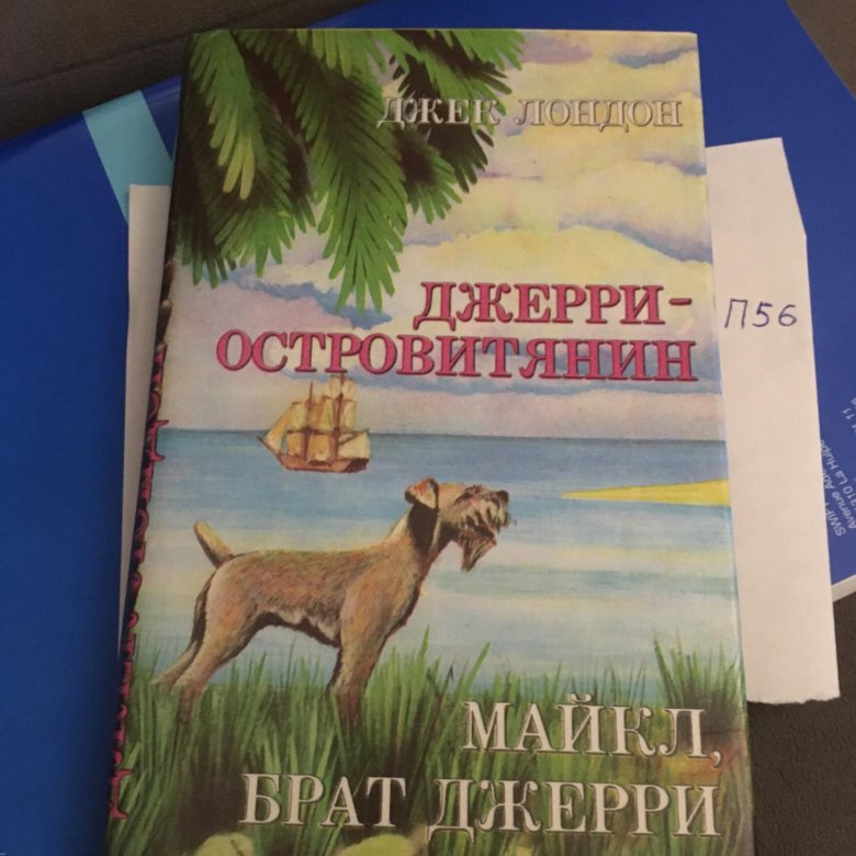 Джек лондон джерри. Джерри-островитянин Джек Лондон книга. Читательский дневник Джерри островитянин. Лондон Джерри островитянин ну ка дети.