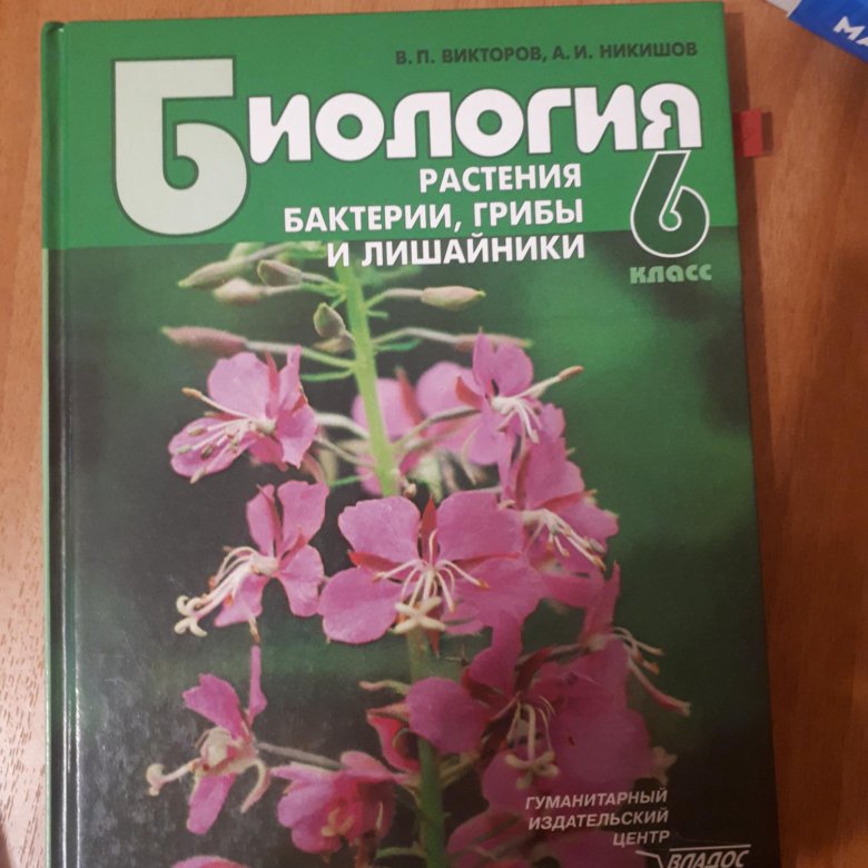 Учебник по биологии 6 класс – купить в Москве, цена 150 руб., продано 2 ...