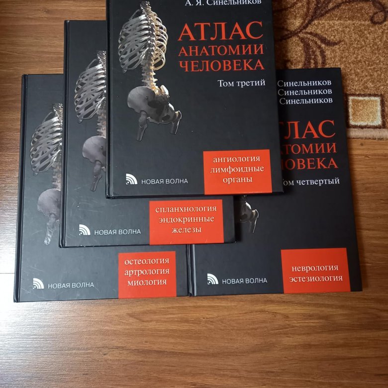 Анатомия атлас том 1. Атлас анатомии человека Синельников 1 том. Синельников атлас анатомии человека 3 том. Атлас Синельникова 4 Тома. Анатомический атлас 4 Тома.