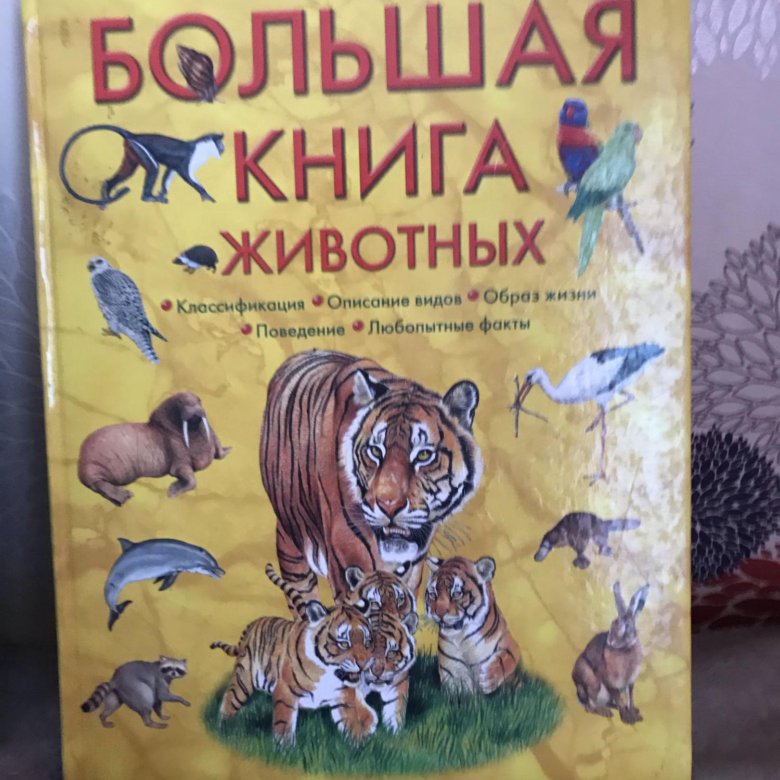 Энциклопедии – купить в Москве, цена 250 руб., дата размещения: 10.01. ...