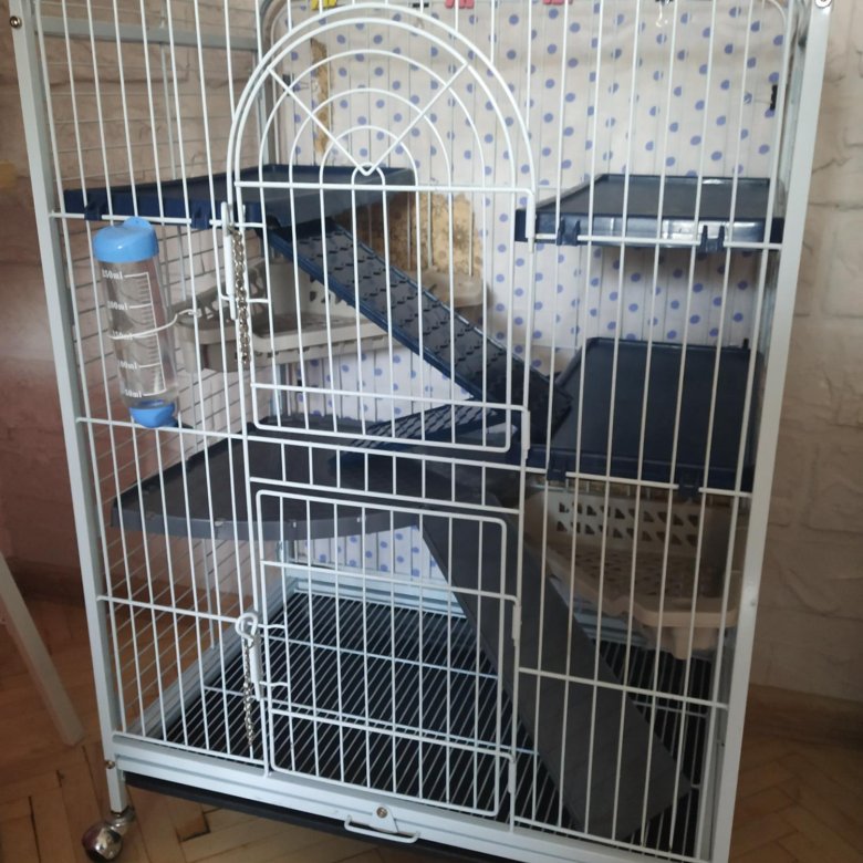 Клетка Credo D800 – купить в Москве, цена 5 000 руб., продано 9 ноября ...