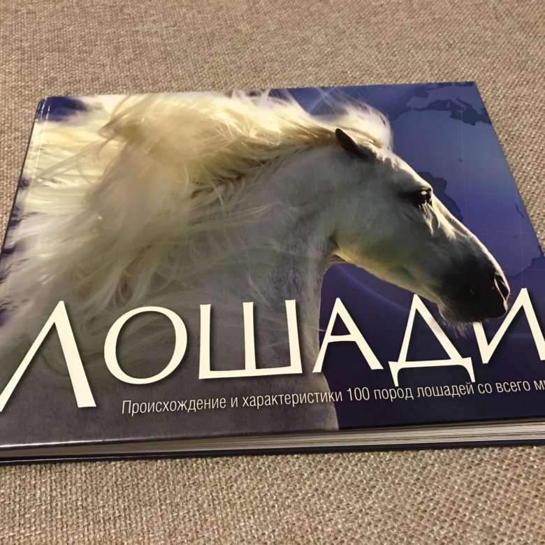 книга про лошадей/энциклопедия – купить в Москве, цена 1 000 руб., дата ...