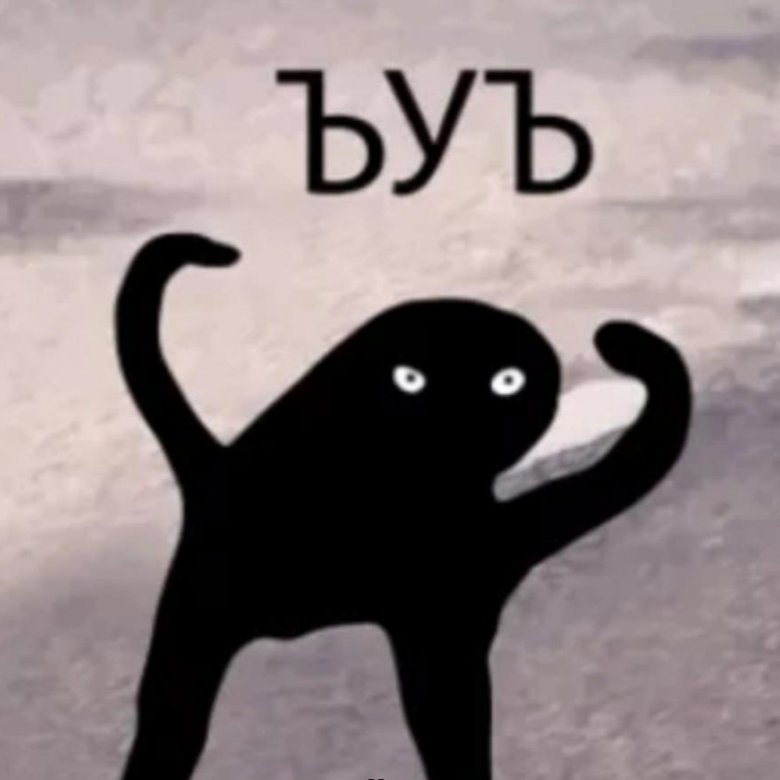 Ъуъ мем с котом