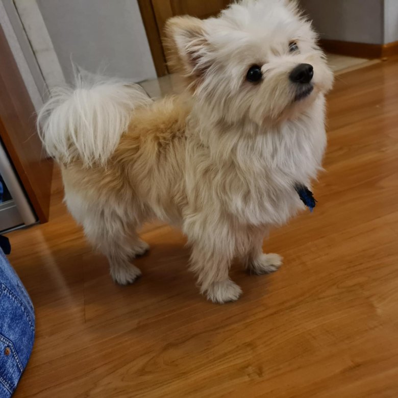 Дәретханадағы сексуалды қыз Бойжеткен өз-өзін сиқытып, ұрысып жатыр