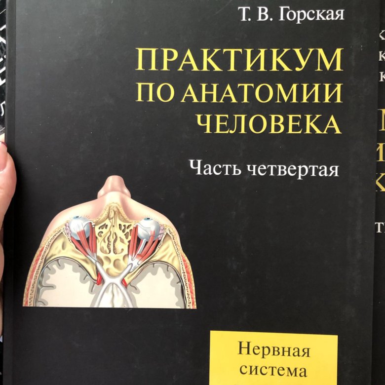 Большая книга чувств. Атлас по анатомии человека Колесников. Анатомия человека Колесников л.л.. Практикум по анатомии человека Цыбулькин. Практикум по анатомии и физиологии человека. Учебное пособие.