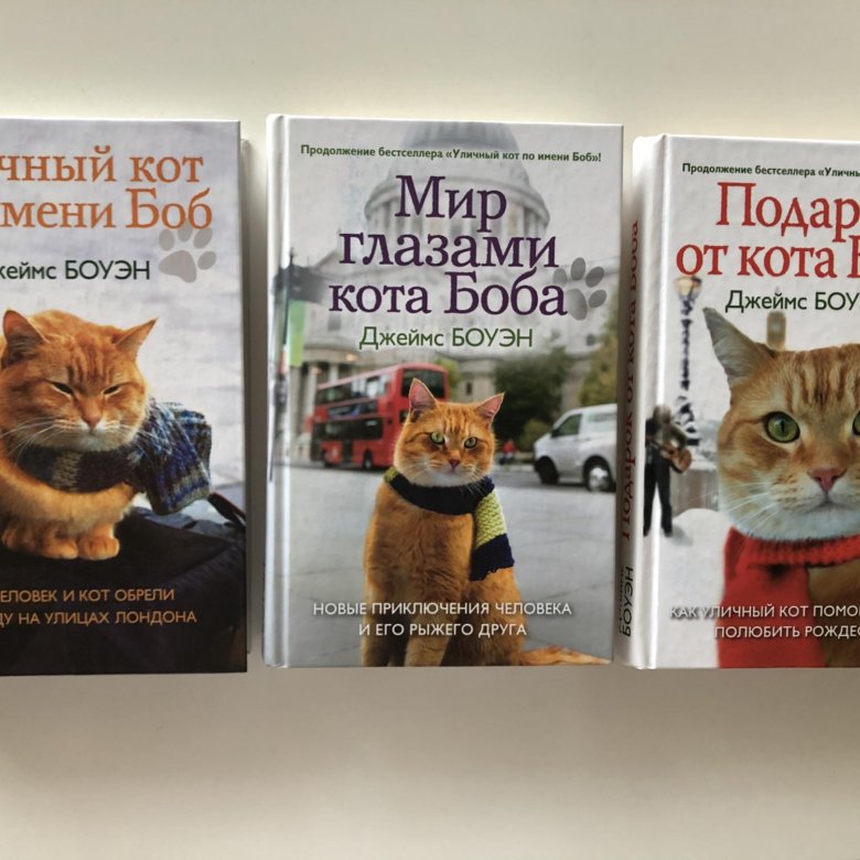 джеймс боуэн подарок от кота боба. уличный кот по имени боб джеймс боуэн книга. кот боб и джеймс боуэн книга. боуэн мир глазами кота боба книга. мир глазами боба.
