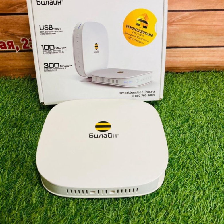 Beeline smartbox turbo