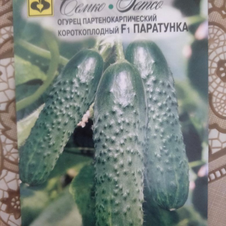 Семена огурцов ПАРАТУНКА F1 – купить в Саратове, цена 200 руб., дата ...