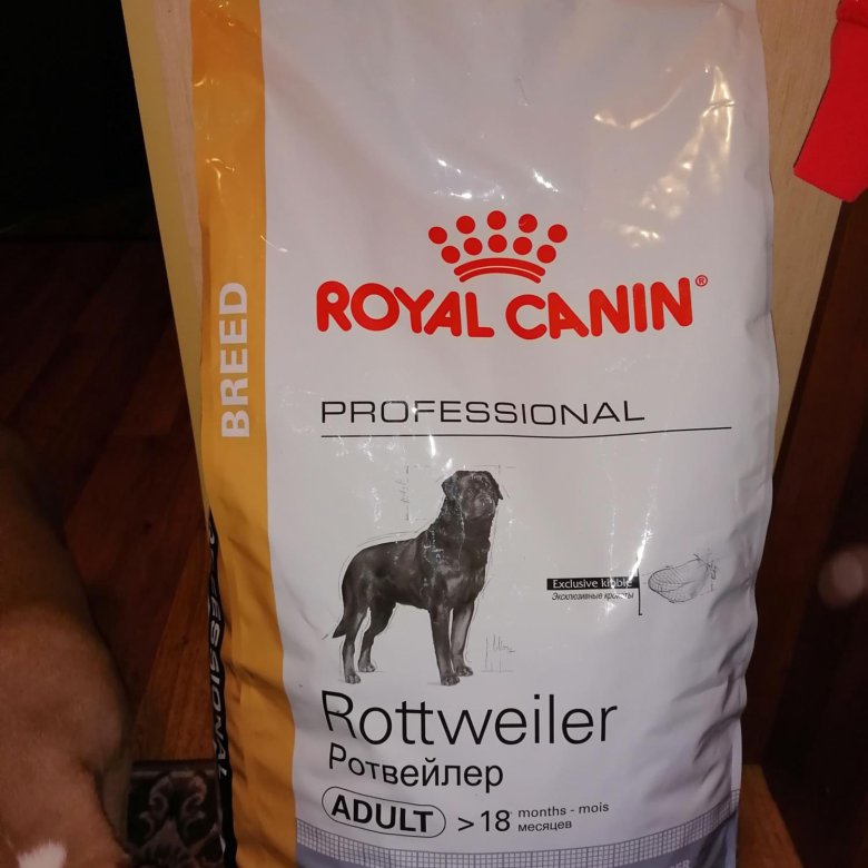 Купить корм royal canin для собак. Роял Канин ротвейлер 17 кг. Роял Канин профессионал для собак 17 кг. Роял Канин для собак ротвейлер 17 кг. Роял Канин профессионал ротвейлер.