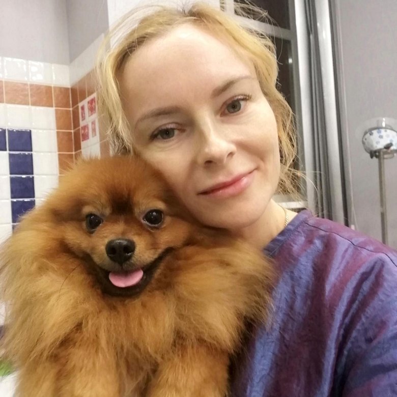 Стрижка собак и кошек (Грумер) – купить в Москве, цена 1 500 руб., дата ...