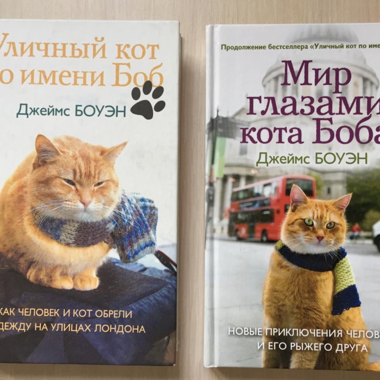 Читать книгу кот боб. Боб - необычный кот. Кот по имени Боб книга. Уличный кот по имени Боб книга. Как вызвать кота Боба.