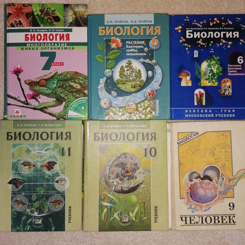 Биология теремов петросова. Теремов Петросова биология 10-11 класс. Петросова биология 10 11 класс. Теремов и Петросова биология 10-11 класс профильный уровень. Учебник Петросова биология 10 класс.
