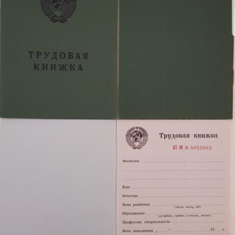 Трудовая книжка образца 2004 года фото