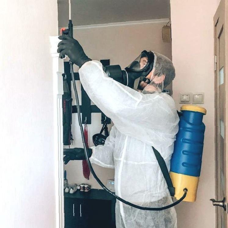 Дезинсекция помещений. Дезинфекция клопов уничтожение. Дезинсекция помещений. Обработка от клопов. Дезинфекция квартиры москва.