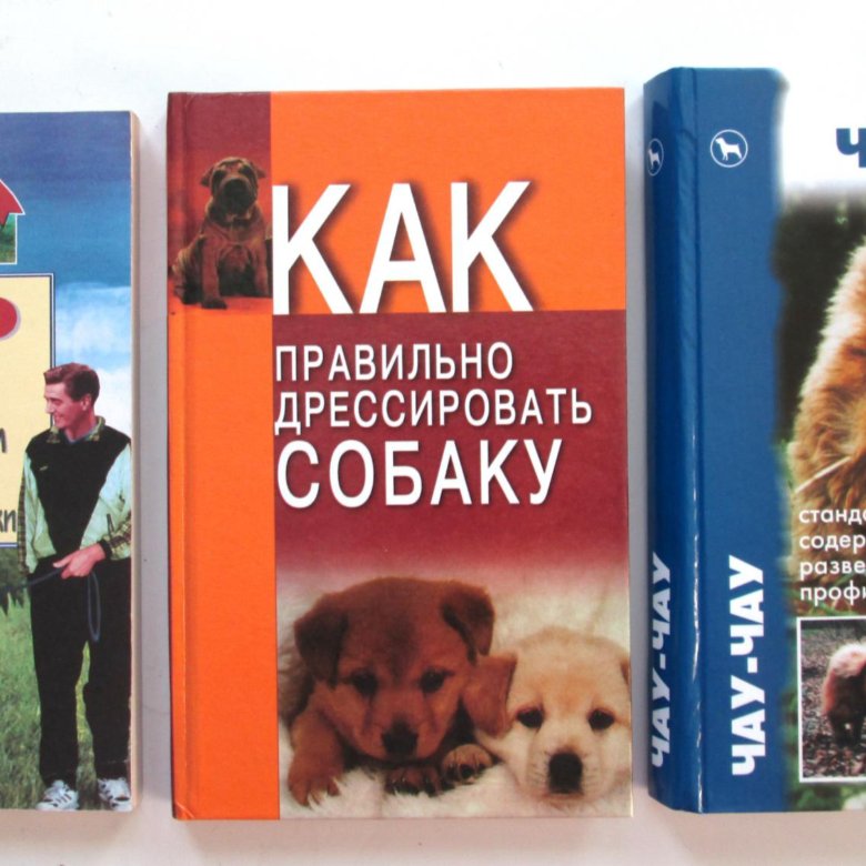 Команды для собак. Научить собаку команде лежать. Кинолог раскраска. Жесты для дрессировки собак. Круковер книги.