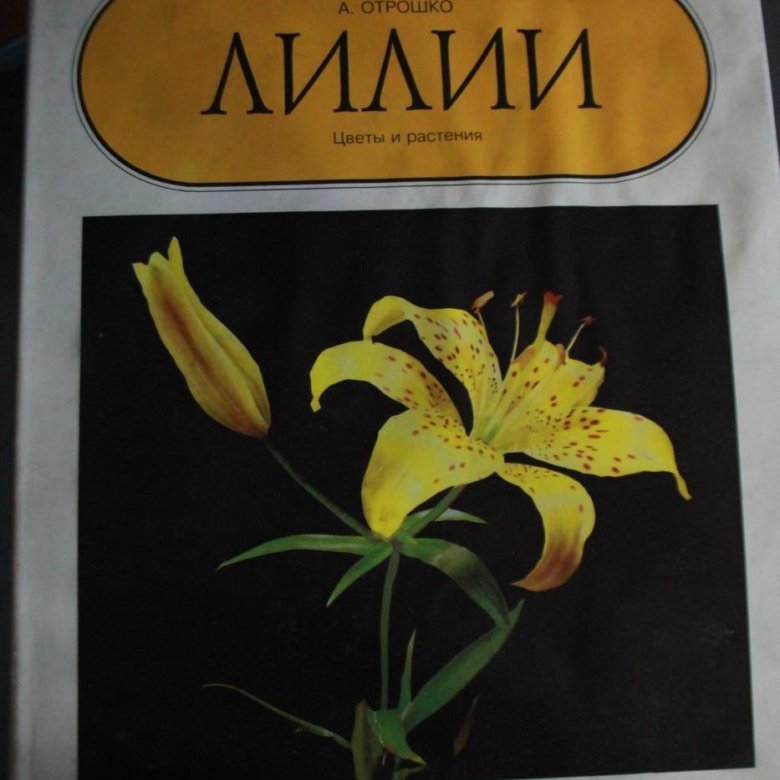 Лилия книга. Отрошко лилии. Книга лилии. Александр Отрошко лилии. Книга Отрошко 2012.