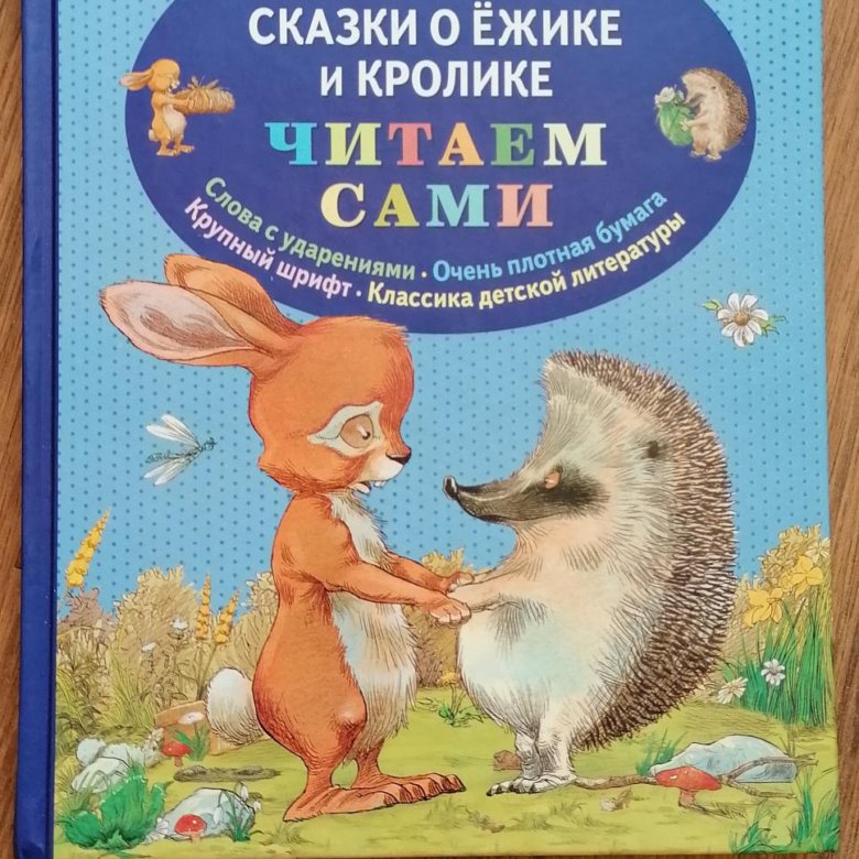 Книга кролика купить