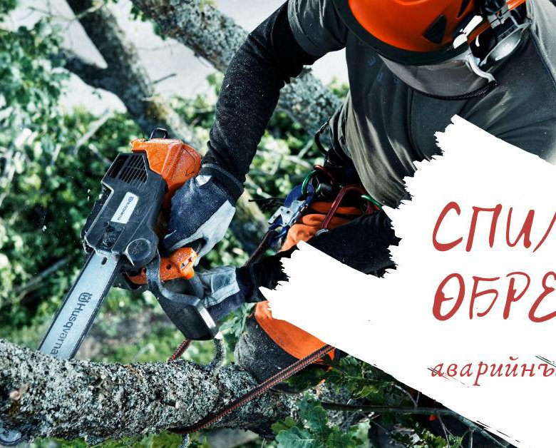 Картинки спил деревьев реклама
