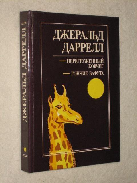 Гончие бафута картинки