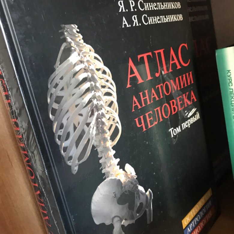 Атлас синельникова анатомия 2 том. Синельников атлас 4 том. Синельников атлас. Атлас анатомии человека Синельников том 4. Синельников 1 том.