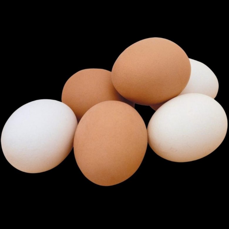 Яйца Орлов. Official Egg. Яйца Никиты сколько стоят. Купить инкубационное яйцо в орле