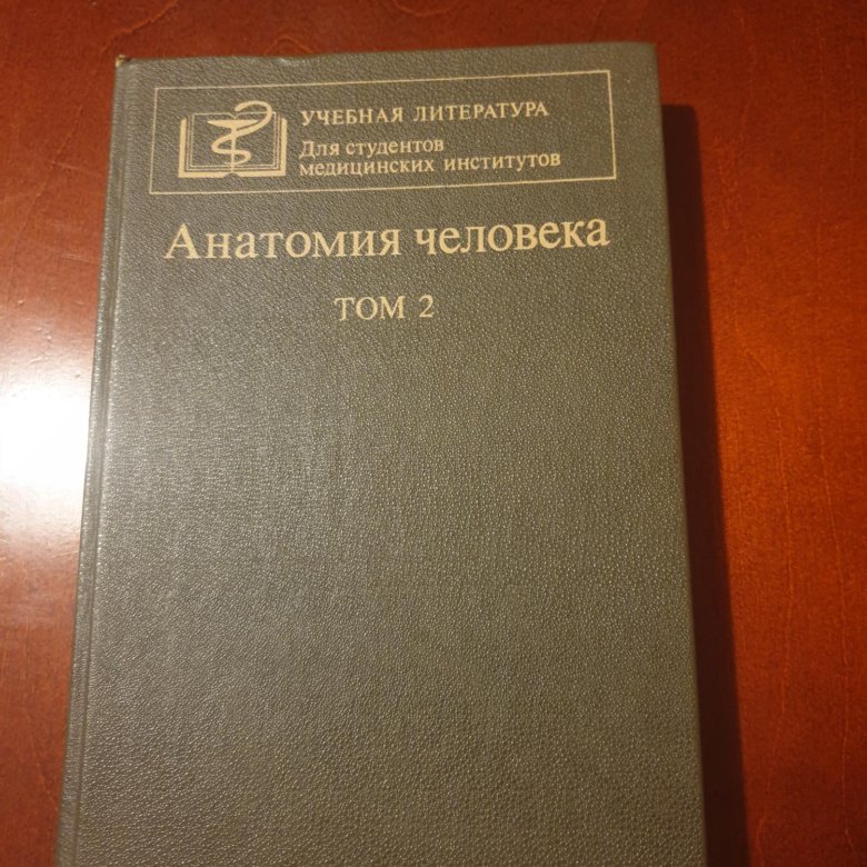 Атлас анатомия человека том 2