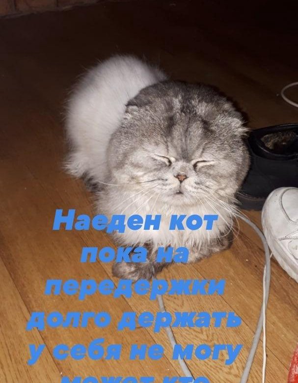 Идем ненадолго