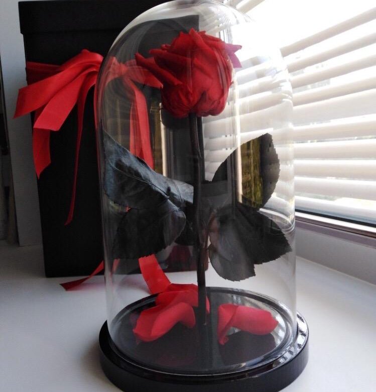 Роза в колбе – купить в Москве, цена 2 450 руб., дата размещения: 18.05 ...