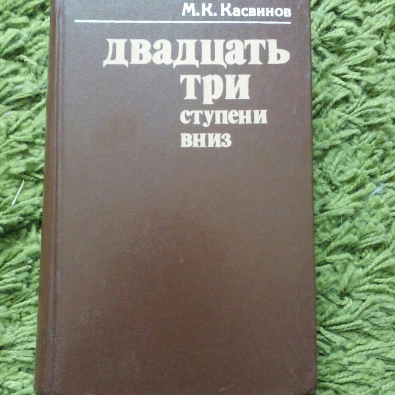 23 ступени вниз. Двадцать три ступени вниз Касвинов. Книга двадцать три ступени вниз Автор Касвинов.