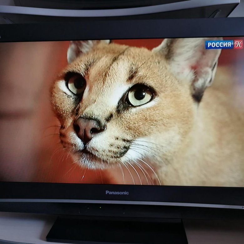 Телевизор ЖК Panasonic 32дюйма – купить в Самаре, цена 10 000 руб ...