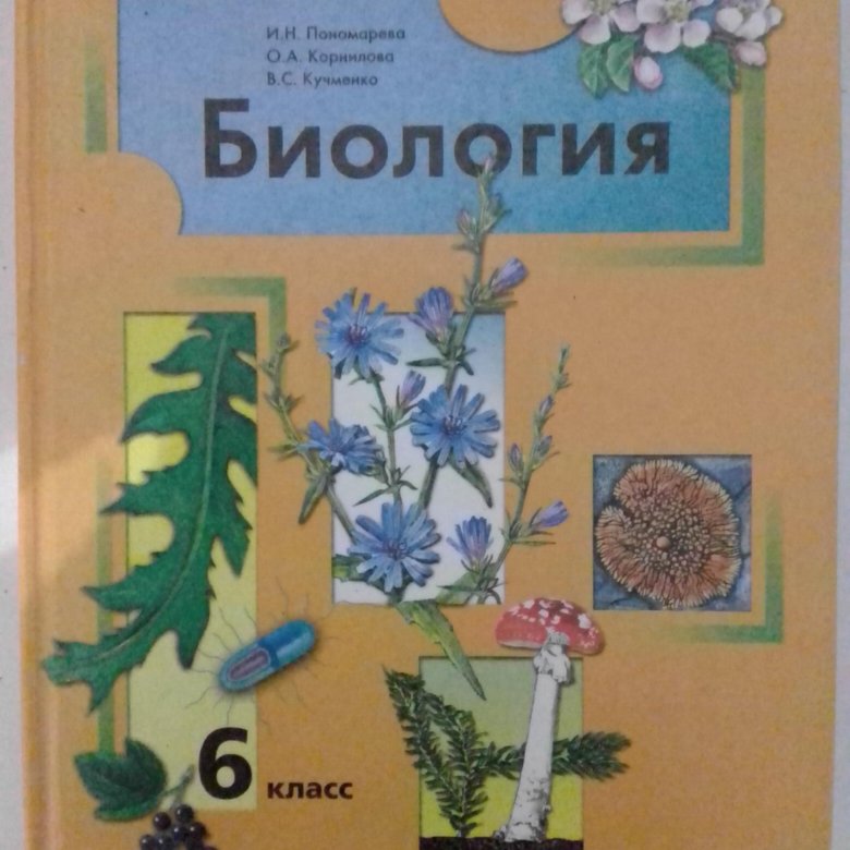 Биология 6 класс и н Пономарева. Биология 6 класс учебник Пономарева. Учебник по биологии 8 класс Пономарева.