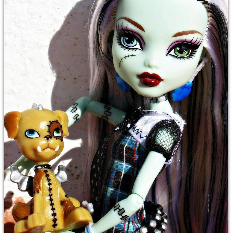 Фрэнки базовая. Фрэнки Штейн Базовая. Куклы Монстер Хай Фрэнки Базовая. Монстер Хай Фрэнки Штейн Базовая. Монстер Хай Фрэнки Штейн Базовая кукла 2010.