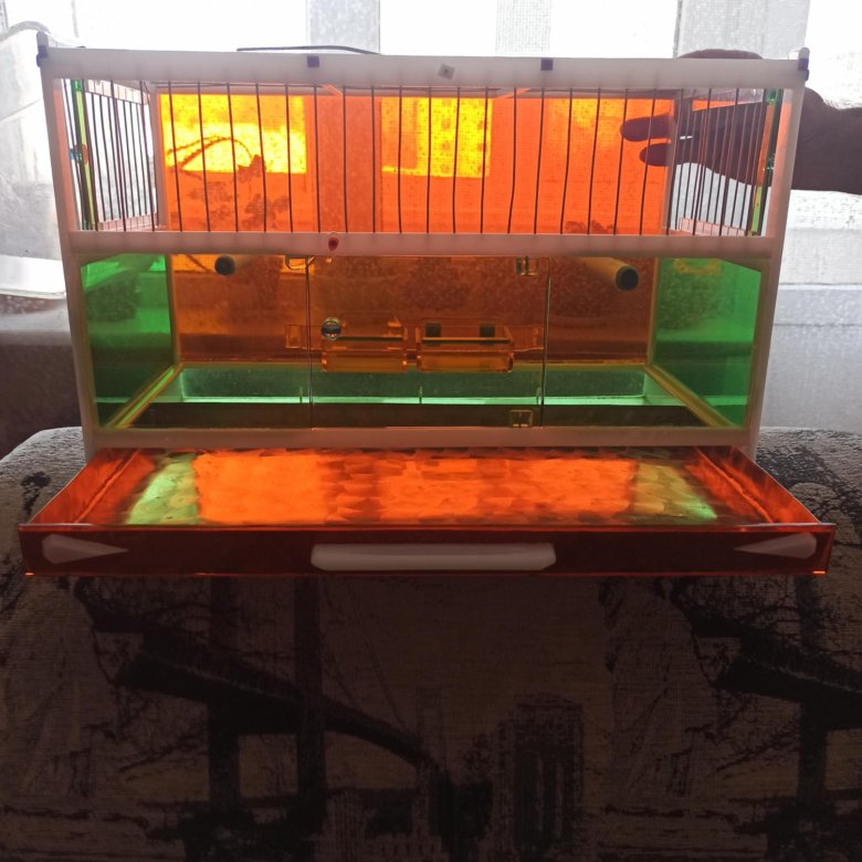 Клетки для птиц. – купить в Нижнем Тагиле, цена 2 000 руб., дата ...