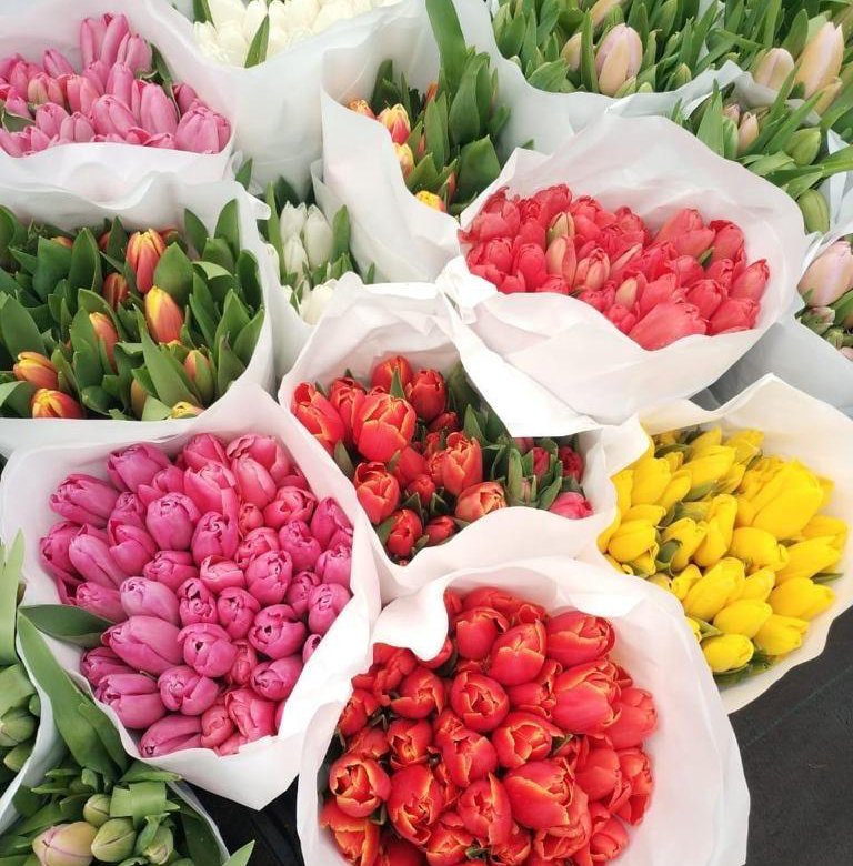 Купить тюльпаны оптом в Пензенской области. Купить тюльпаны в Москве дешево в розницу. Купить тюльпаны оптом в Белореченске. Купить тюльпаны 30 рублей